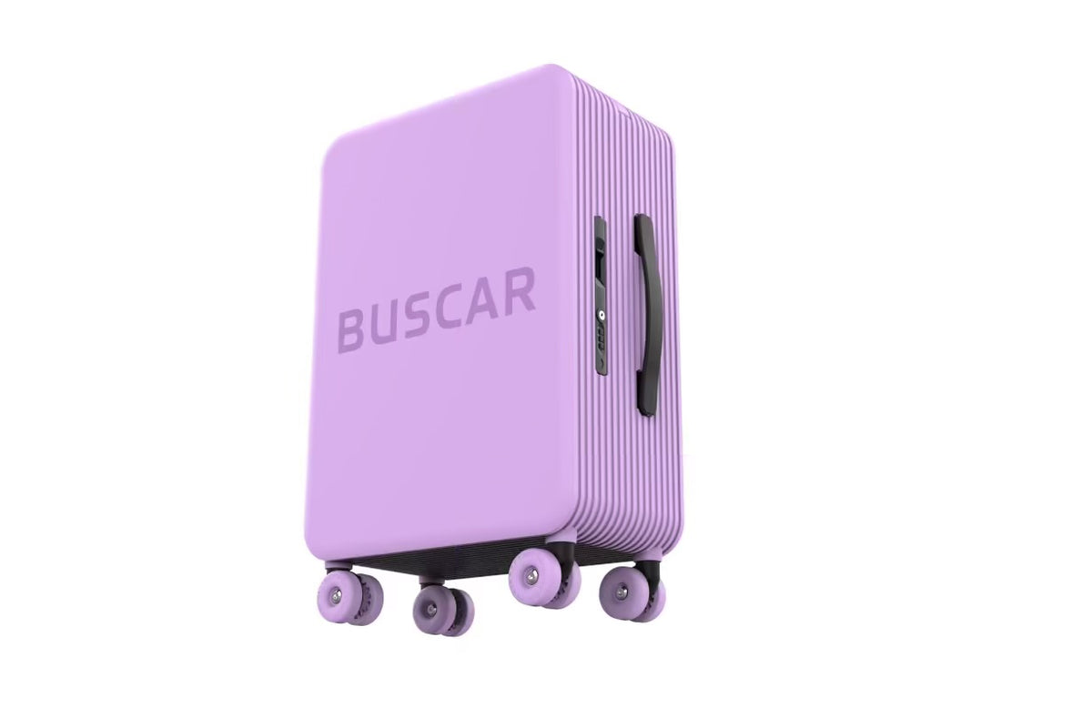BUSCAR PURPLE CABIN BAG