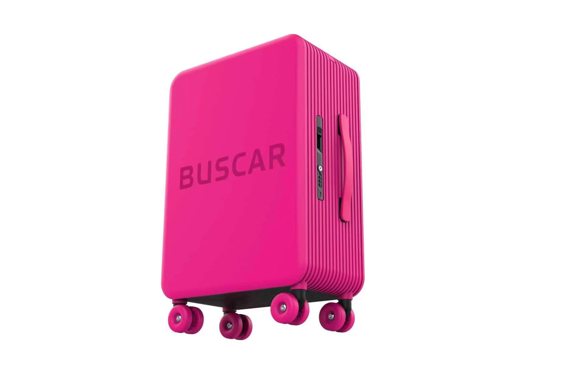 BUSCAR ROSE PINK CABIN BAG