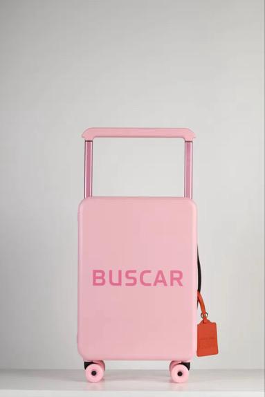 BUSCAR SOFT PINK CABIN BAG
