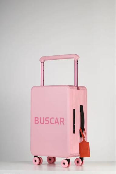BUSCAR SOFT PINK CABIN BAG