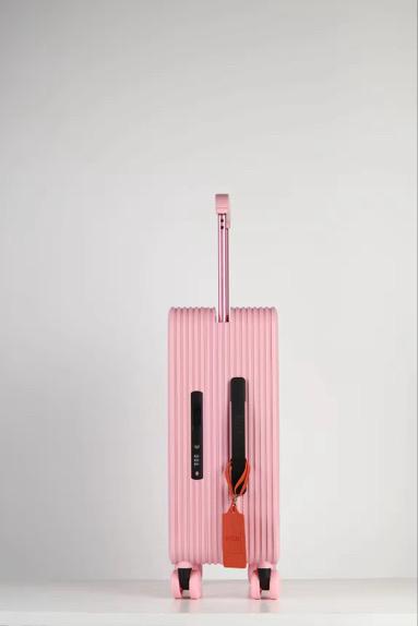 BUSCAR SOFT PINK CABIN BAG